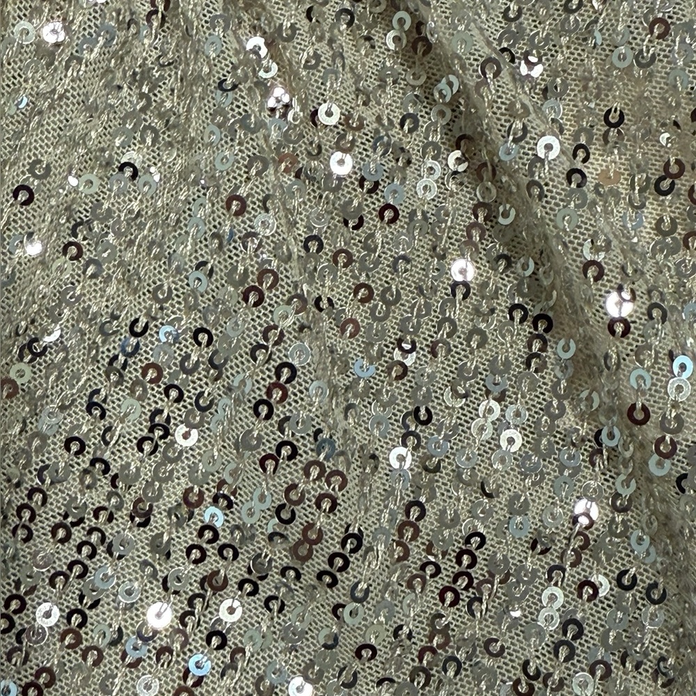 Free People Silver Sequin Long Sleeve Top - Picture 7 of 9